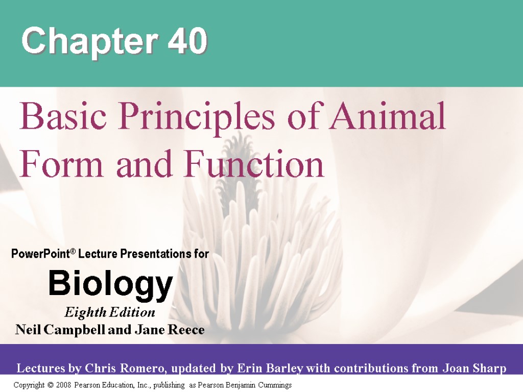 Chapter 40 Basic Principles of Animal Form and Function